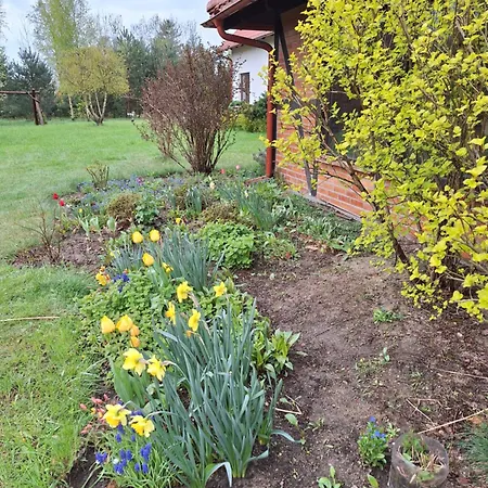 Holiday home Borowy Zakatek Stara Kiszewa