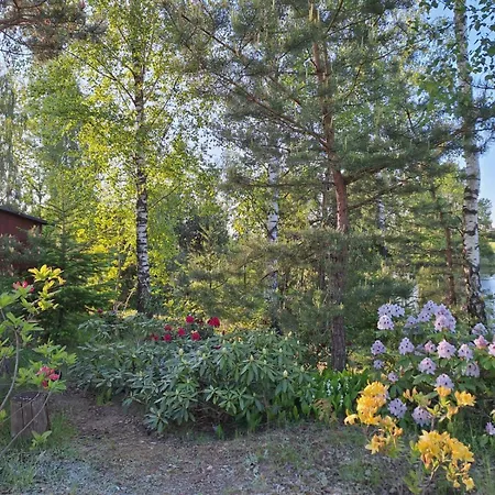 Borowy Zakatek Stara Kiszewa