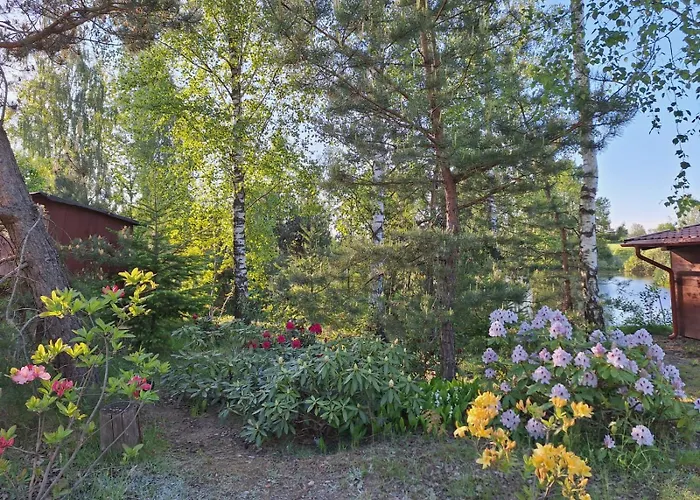 Borowy Zakatek Stara Kiszewa